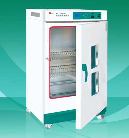 WGL ELECTRO-THERMAL BLAST DRYING OVEN