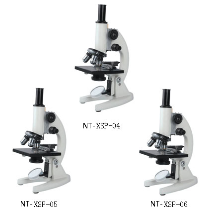 NT-XSP-04