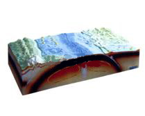 Model of plate tectonics and surface morphology