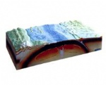 Model of plate tectonics and surface morphology